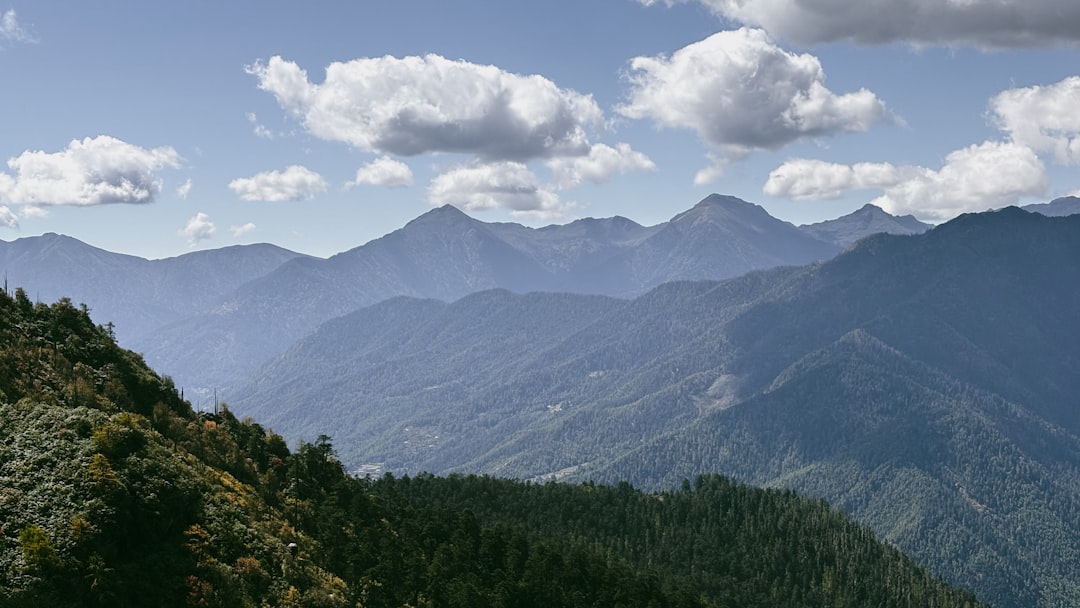 Binsar Wildlife Sanctuary Camp