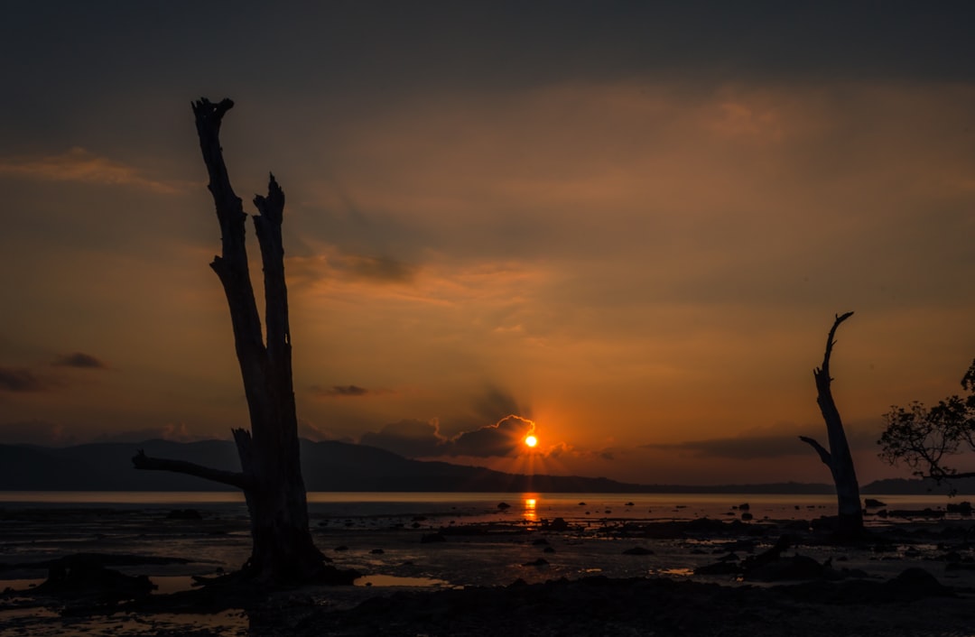 Andaman Island Beach Camp