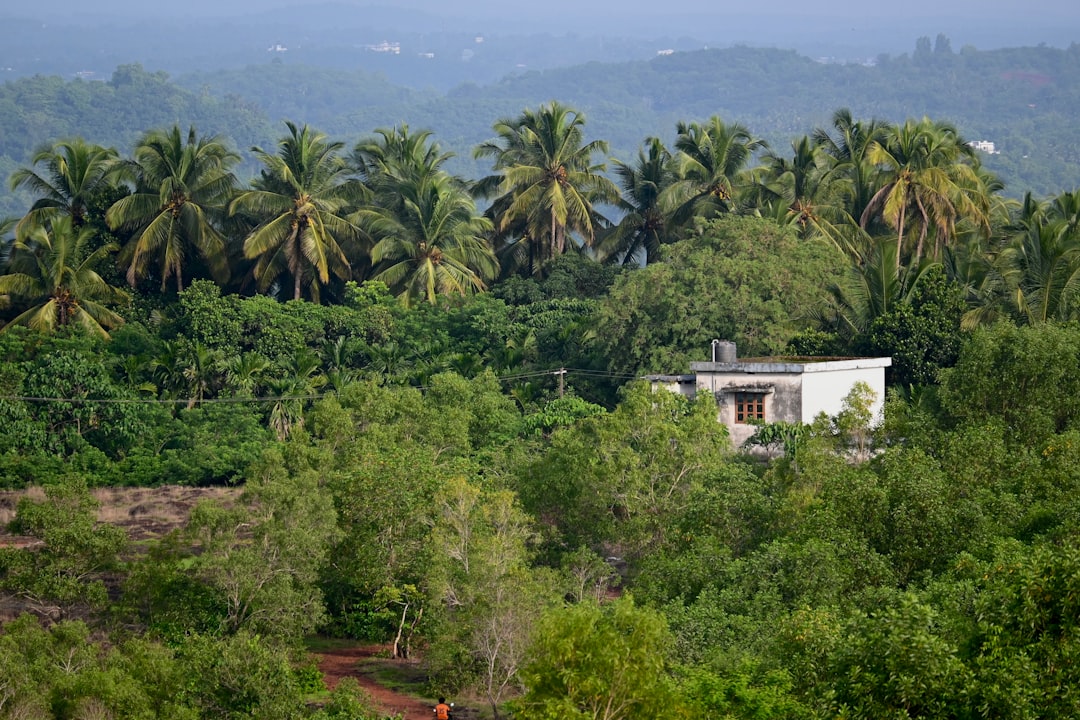 Kerala Backwaters Houseboat Camp