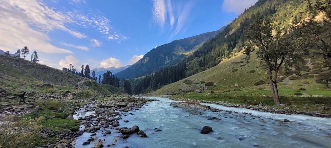 Best Camping Near Bhopal: 8 Sites in Central India