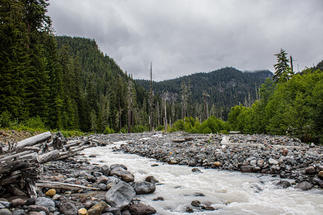 Best Camping Near Indore: 8 Sites in Madhya Pradesh