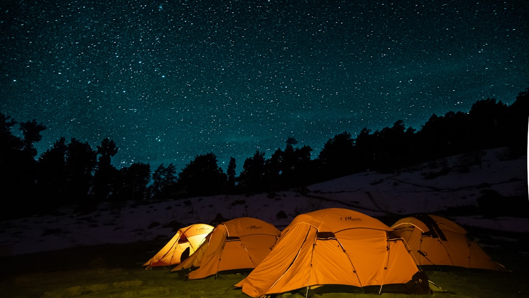 Best Camping Near Kochi: 8 Sites Across Kerala