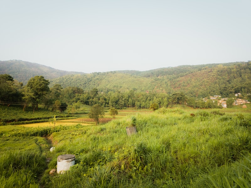 Dzukou Valley Loop Trek