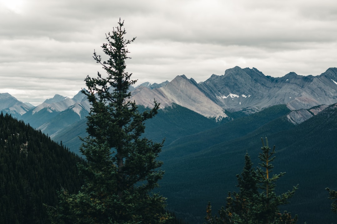 Kodachadri Peak Trek